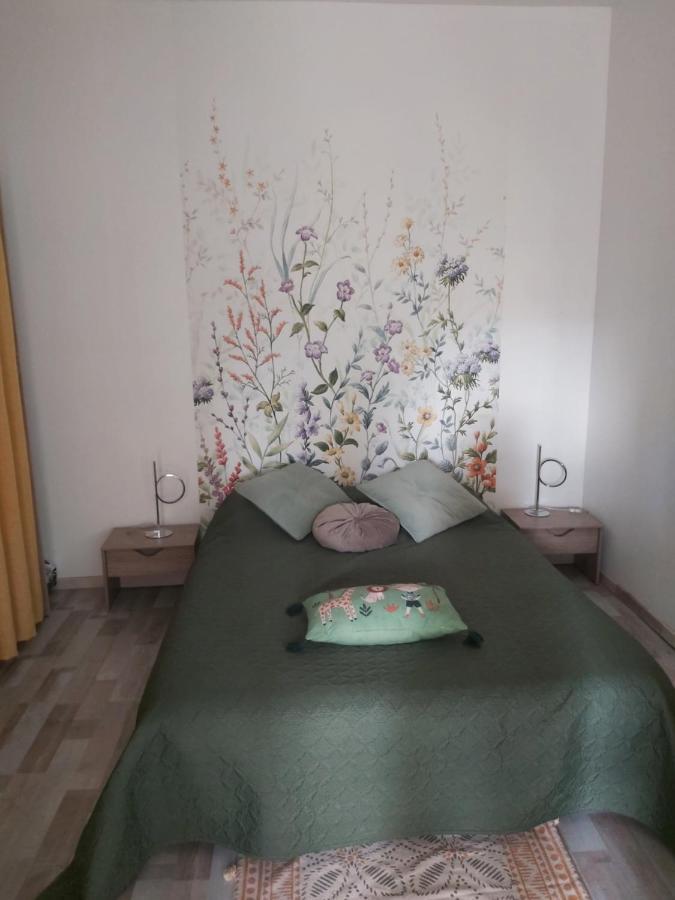 Gite Ozoo 圣艾尼昂 外观 照片